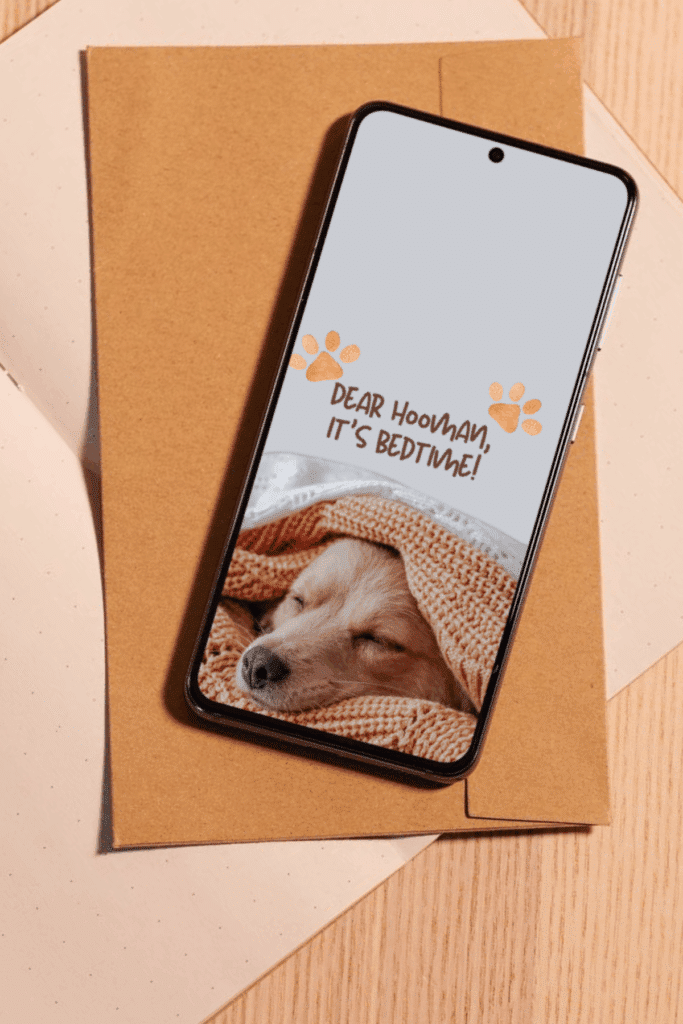 cute animal sleeping wallpaper